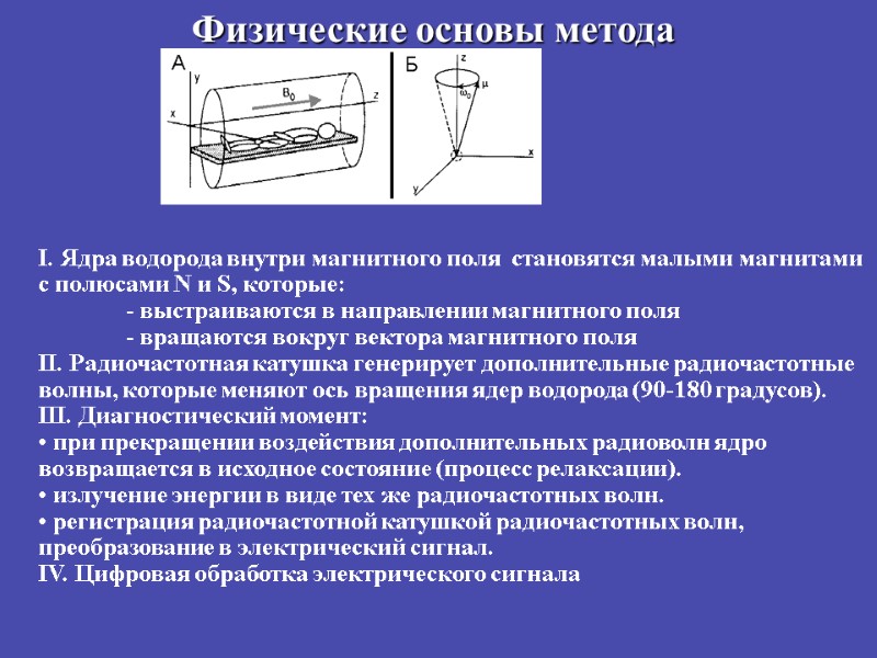 Физические основы метода I. Ядра водорода внутри магнитного поля  становятся малыми магнитами с